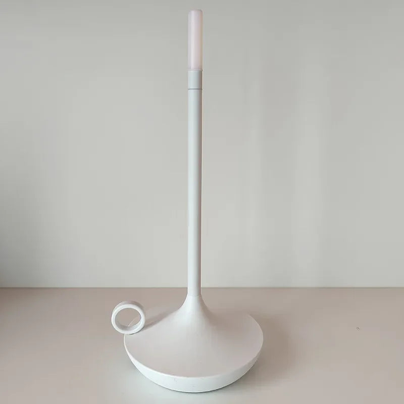 Designer Rechargeable LED Lamp for Restaurants and Bars