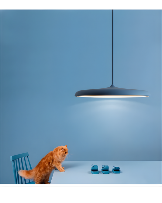 Modern Pendant Lamp Art Design Metal Iron Finish.