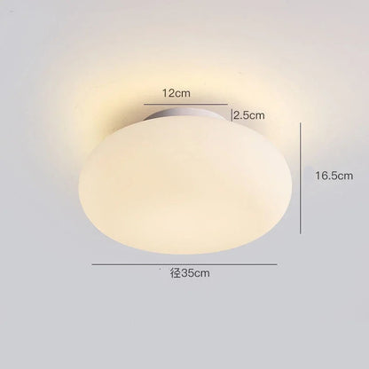 Glass Pendant Lights style acrylic sphere for safe and durable home decor.